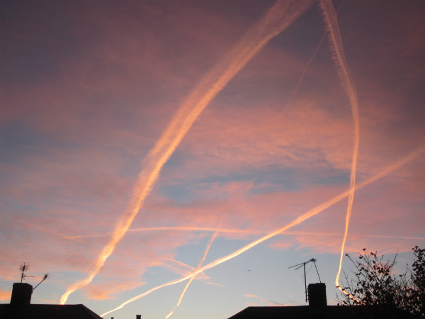 Contrails in morning sky