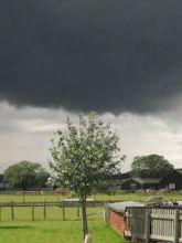 Dark cloud over small tree