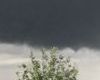 A dark cloud above a tree